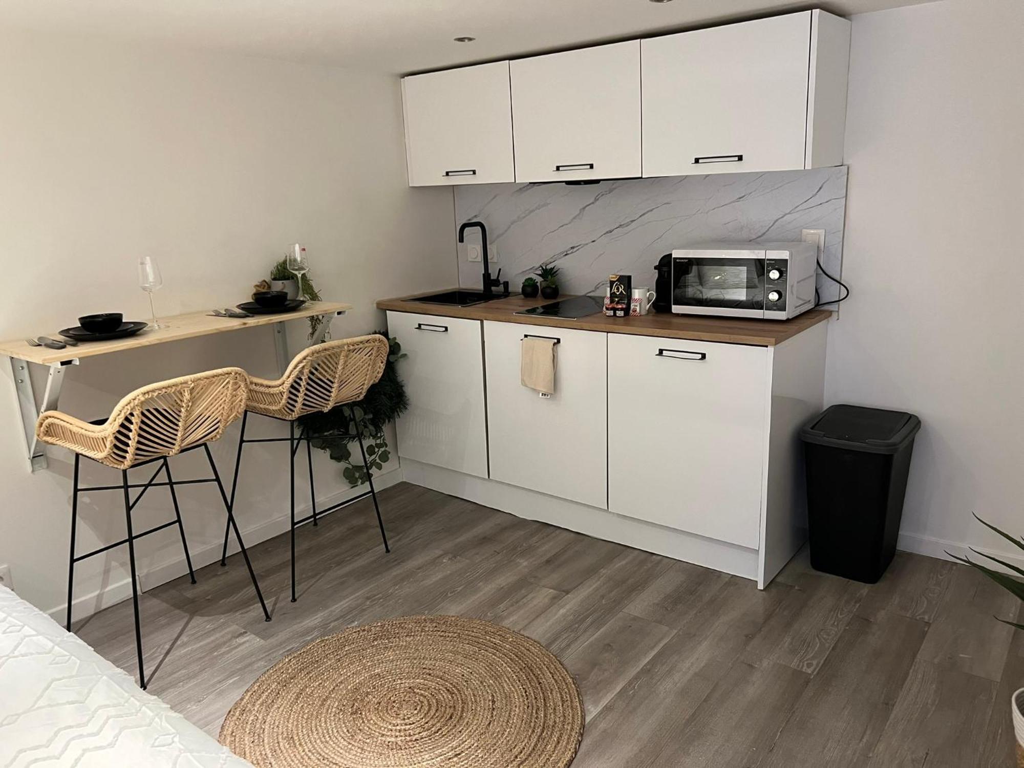Le Zenith Vieille Ville D'안시 외부 사진
