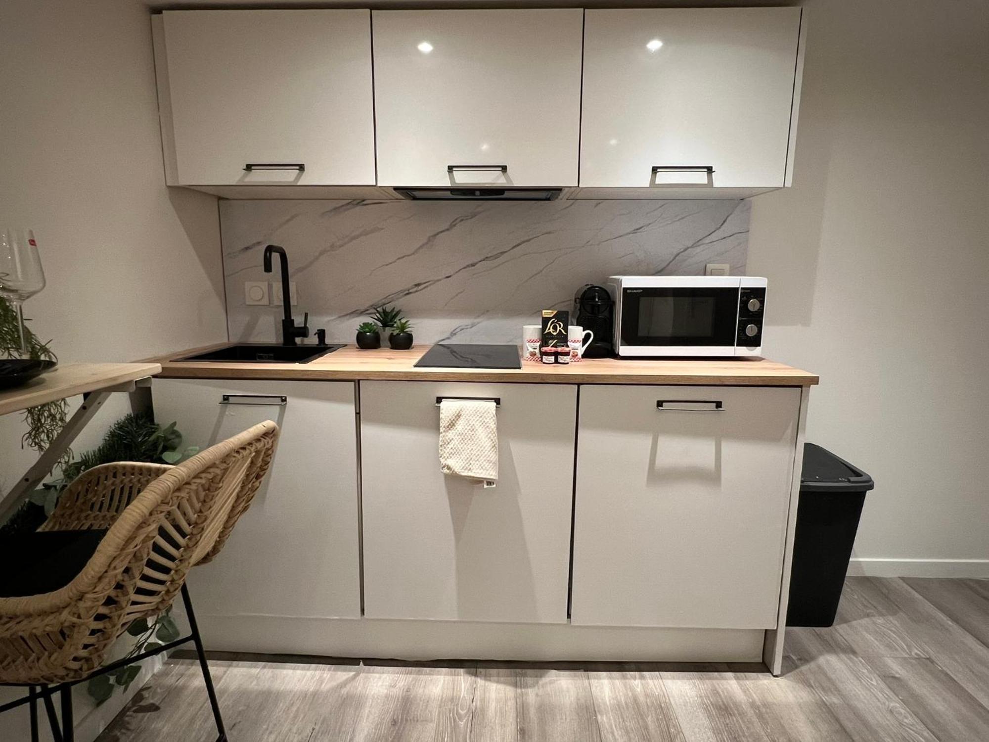 Le Zenith Vieille Ville D'안시 외부 사진